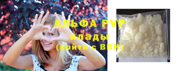 хмурый Абаза