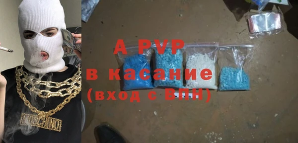 хмурый Абаза
