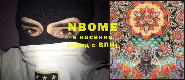 хмурый Абаза