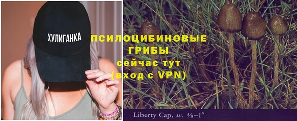 ALPHA PVP Абинск