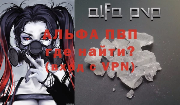 хмурый Абаза