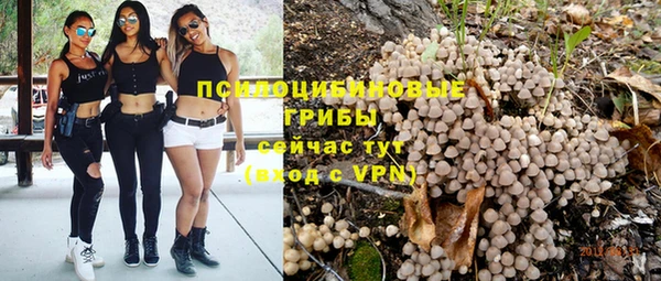 хмурый Абаза