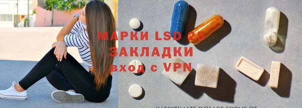 хмурый Абаза