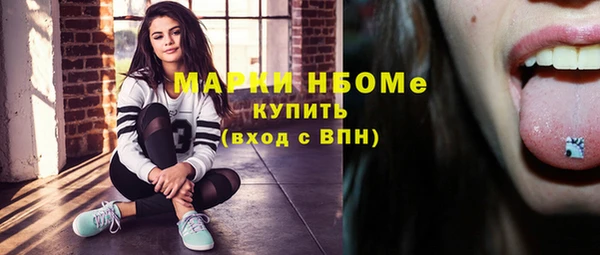 хмурый Абаза
