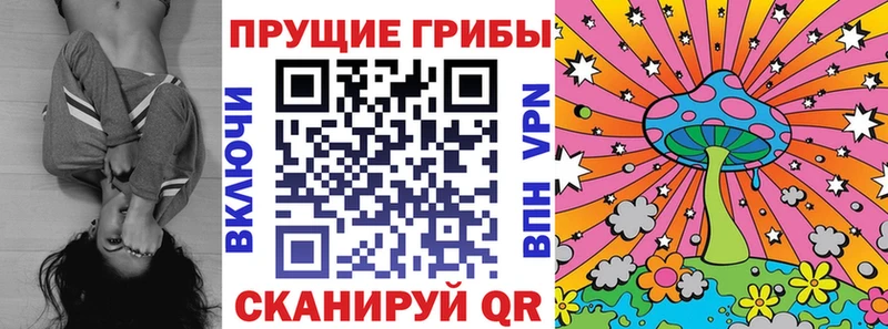 Галлюциногенные грибы Cubensis  Дубовка 